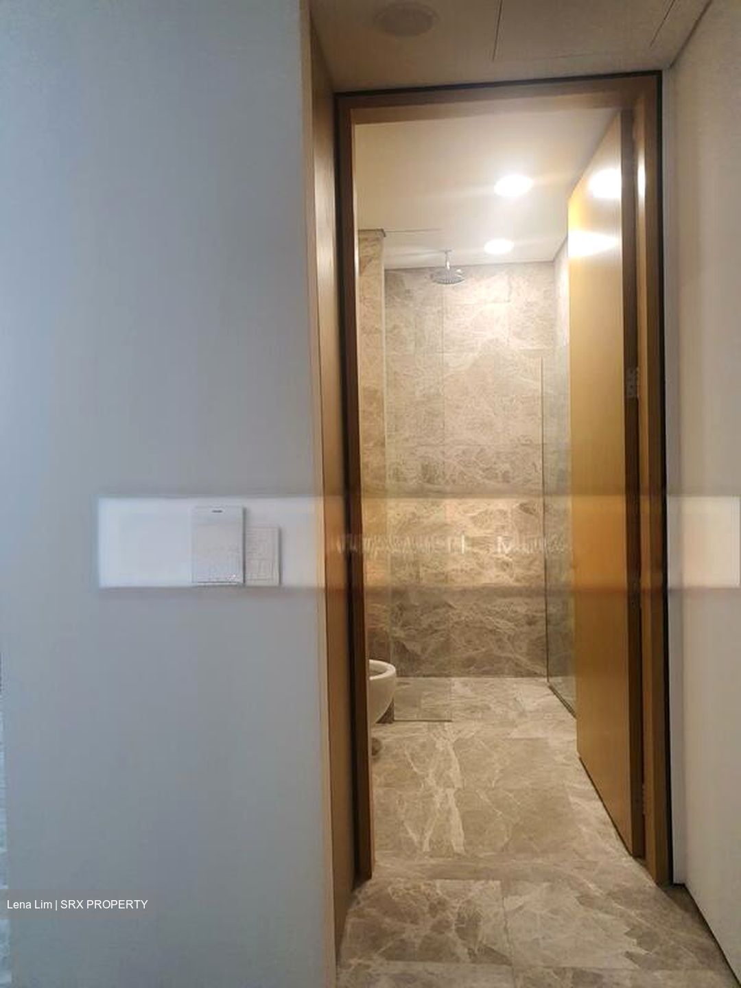 The Laurels (D9), Condominium #486702751